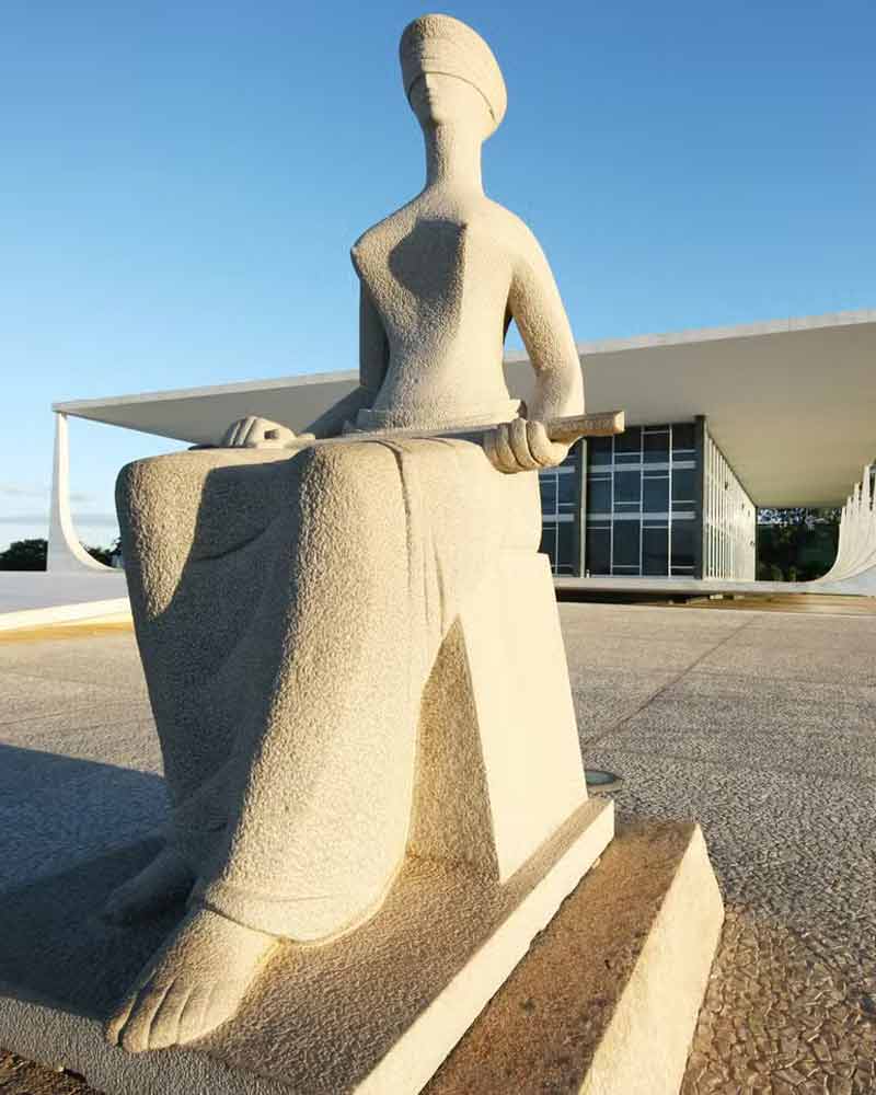 Vista de Brasília - Atuação institucional